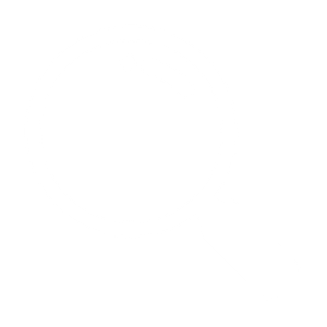 Rechtsgutachten Icon